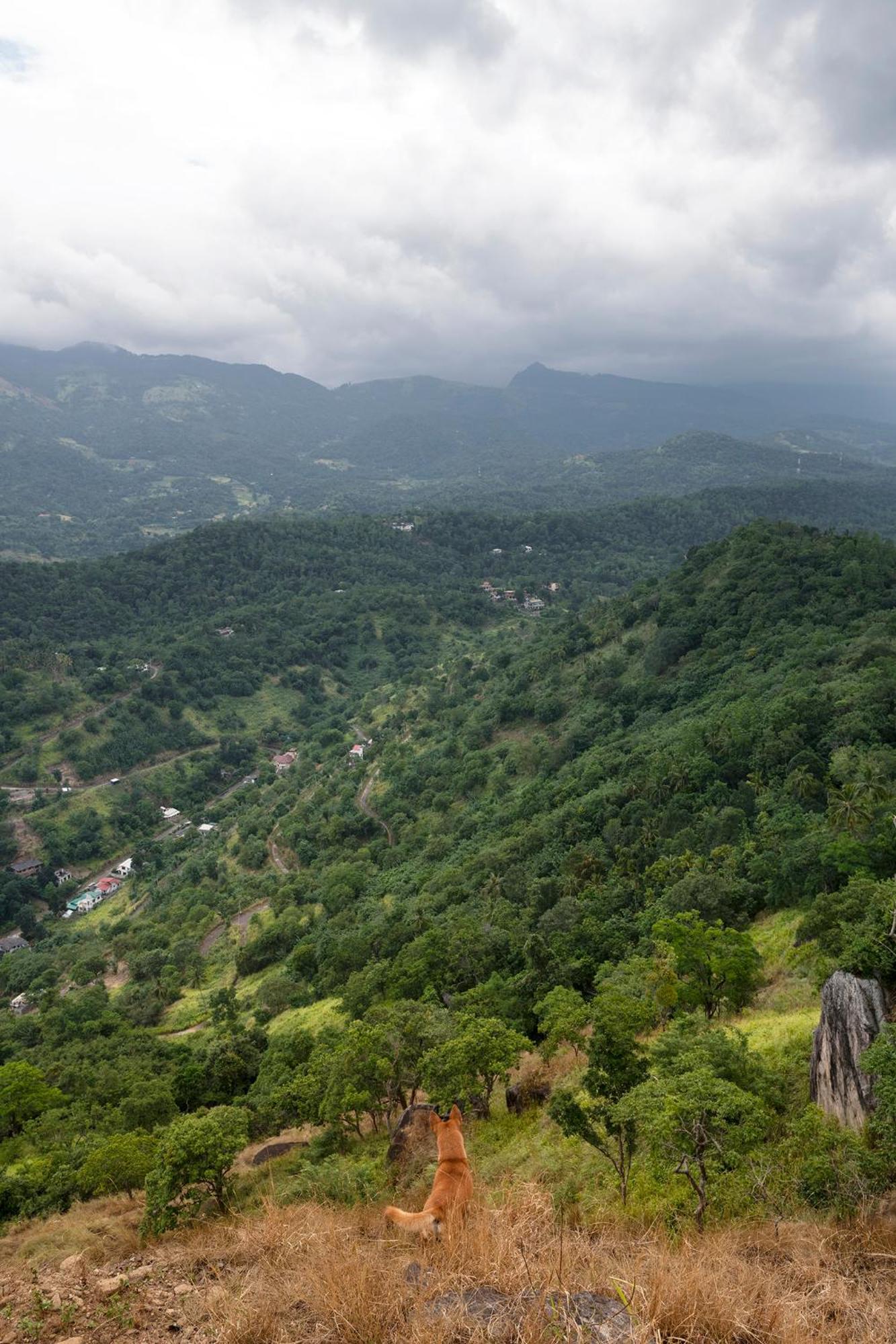 Kandy Victoria Eco Resort Kültér fotó